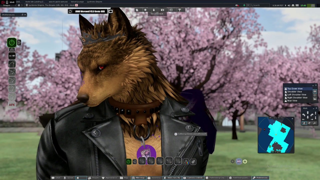 Black dragon viewer second life download